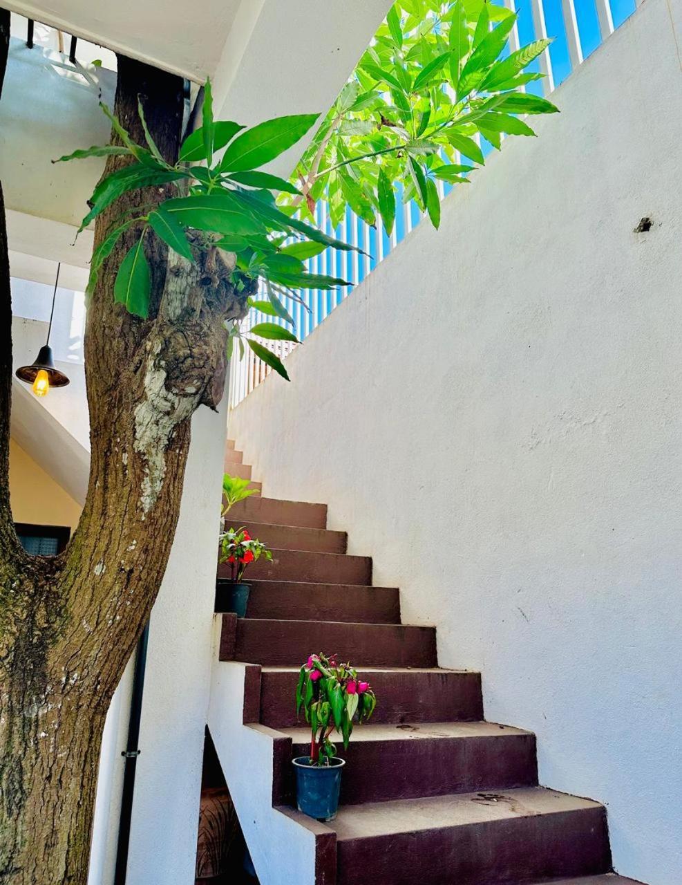 Sea Breeze Guest House Негомбо Экстерьер фото